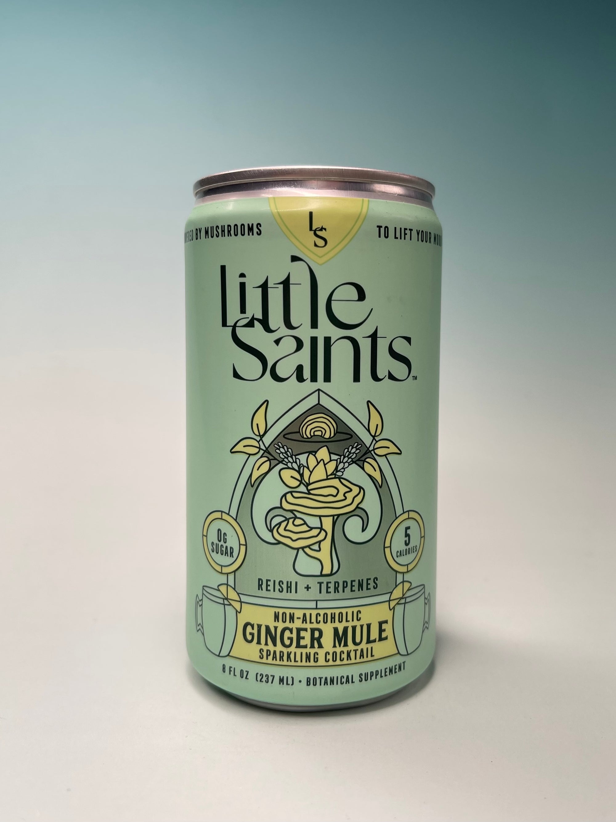 Little Saints Ginger Mule